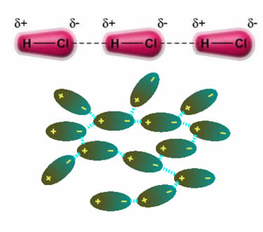 A diferença de eletronegatividade entre o H e o Cl estabelece uma força intermolecular dipolo-dipolo