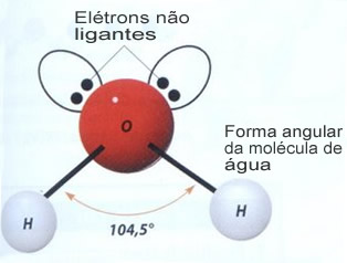 Geometria angular da molécula de água, que confere à substância uma série de propriedades características