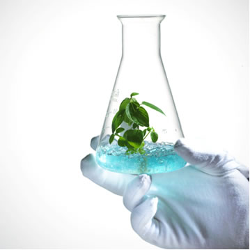 A Química verde auxilia na proteção do meio ambiente